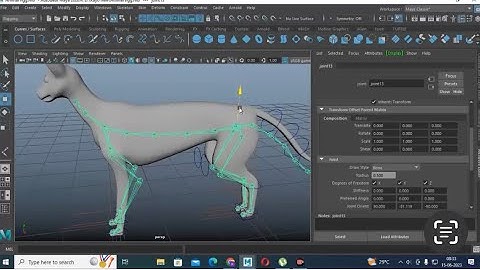 Maya Tutorials, Learn Rigging a Siamese Cat from Scratch in Maya ( Part 2)