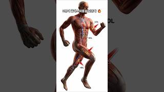 과학이 증명한 — 3분 운동이 콜레스테롤을 낮춥니다 (HDL의 비밀)