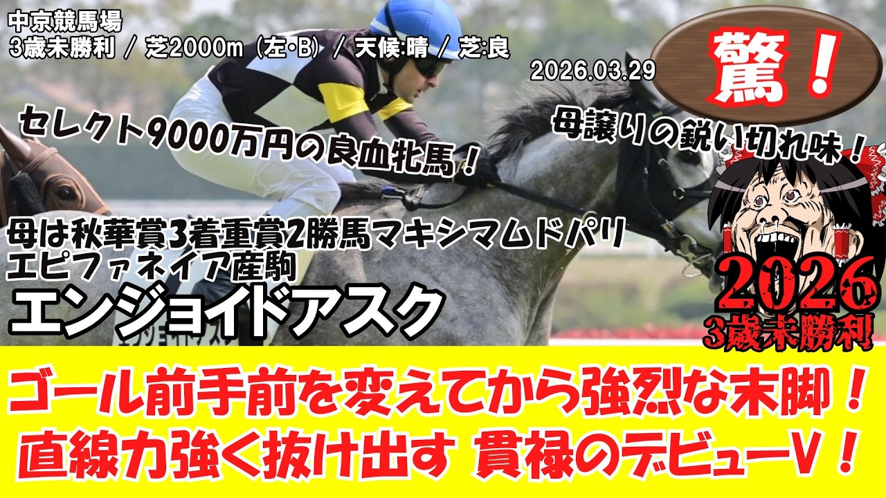 競馬】 驚き！マキシマムドパリの娘 芦毛のエピファネイア産駒！強烈な