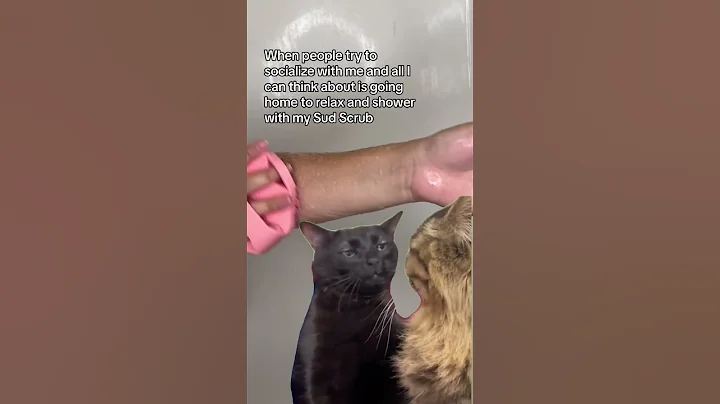 Sorry for zoning out...I was thinking about my Sud Scrub! It fights bacteria & mold on its surface!