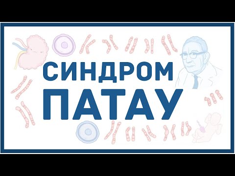 Синдром Патау - механизм развития, причины, клинические проявления