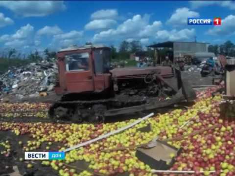 В Матвеево-Курганском районе уничтожили 136 тонн яблок