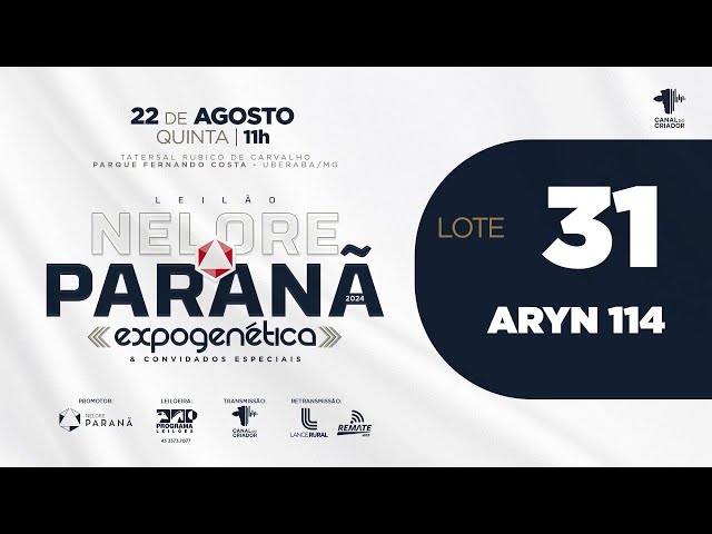 LOTE 31 ARYN 114