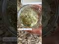 How To Sprout Alfalfa Seeds Sproutingseeds Growyourownfood How To Sprout Alfalfa Seeds Sproutingseeds Growyourownfood
