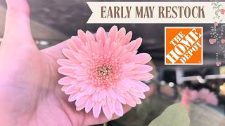 Shop With Me Home Depot Garden Center | May 2026 New Plant Arrivals 🌸 Quiet & Relaxing Nursery Tour