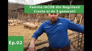 Familia Iacob din Negrilesti Bistrita-Nasaud. Creste oi de 3 generații