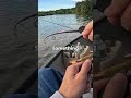 Catching Fish on a PINECONE  #fishing  #fish #bass