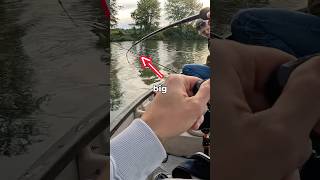 Catching Fish on a PINECONE  #fishing  #fish #bass