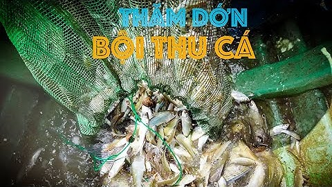 Cuộc sống săn bắt mùa nước nổi 2024 - Tập 17 | Gấc Quê