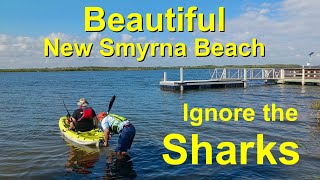 New Smyrna Beach Florida - Perfect RV Destination - Don't Mind the Sharks
