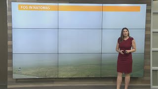 NorCal foggy forecast: Saturday, November 13, 2021