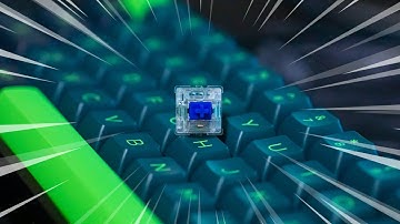 The BEST Silent Switch on the market | Durock (JWK) Dolphin Switch Review