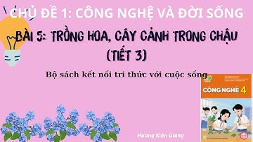 Bài giảng công nghệ 4 Bài 5: Trồng hoa, cây cảnh trong chậu (tiết 3)