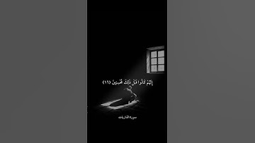 كَانُوا قَلِيلًا مِنَ اللَّيْلِ مَا يَهْجَعُونَ || سورة الذاريات || علي جابر