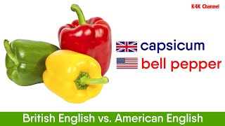 British vs. American English - 100 Differences – English Vocabulary
