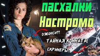 Все пасхалки и секреты на карте Ностромо Dead by Daylight Alien - где кот Джонси