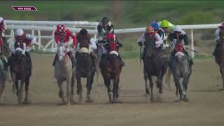 Vidéo de la course PMU RACE 4