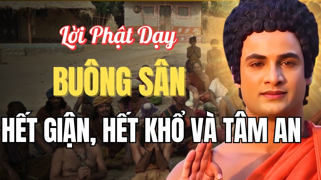 Hay Tức Giận, Nghe Lời Phật Dạy Buông Sân, Tâm An Và Hạnh Phúc