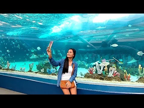 The Cebu Ocean Park - Philippines