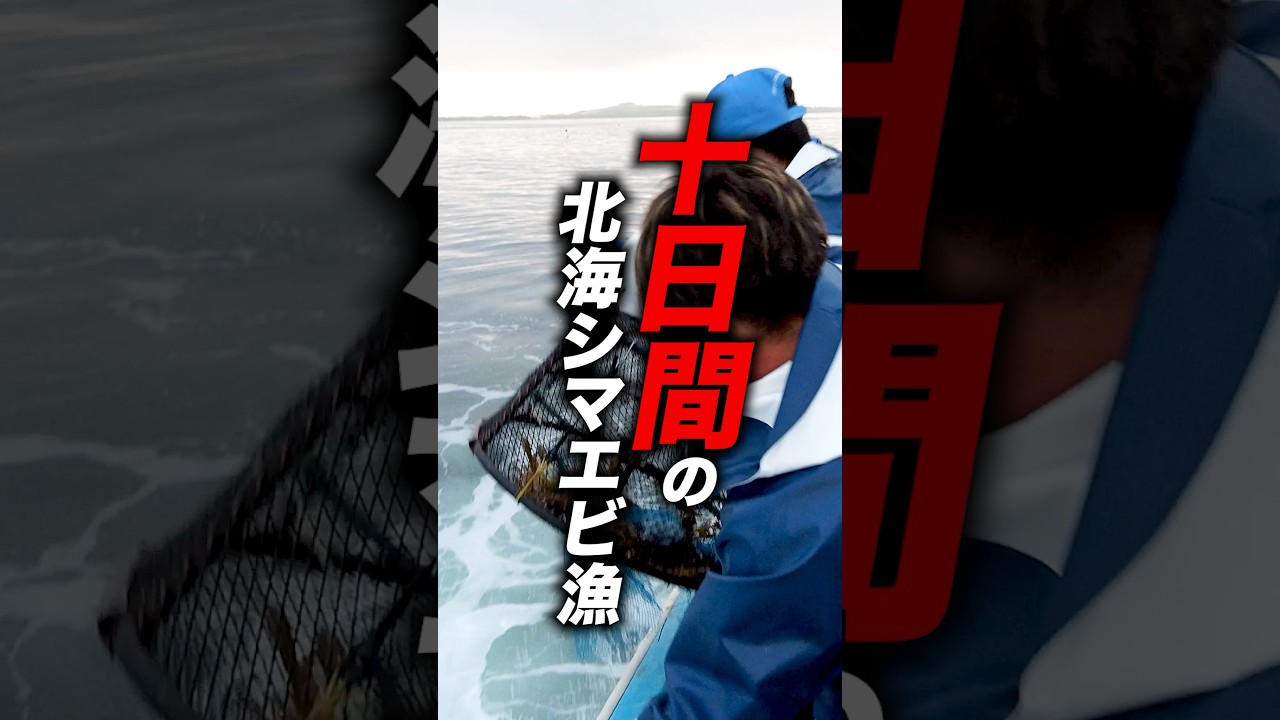 1年の内10日間しか出来ない北海シマエビ漁 #漁師 #北海道 #知床 #北の町から
