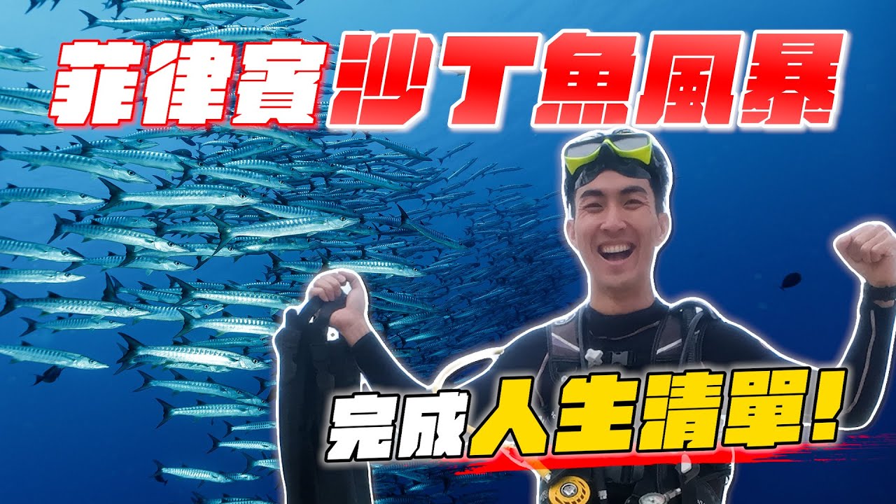 在巨大沙丁魚風暴中潛水超震撼！終於完成人生清單！