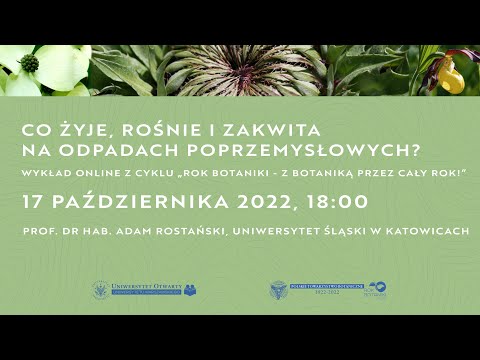 Wideo: Grzebiuszka pospolita: opis, taksonomia, siedlisko, zdjęcie, treść