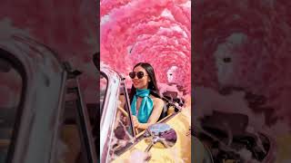 Driving Through a Cotton Candy Tunnel #ai #aigard #aicontent #cottoncandy #driving #cars