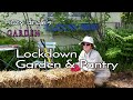 Victory garden and pantry tour  what to grow and eat