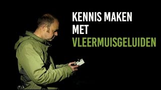 Kennis maken met vleermuisgeluiden