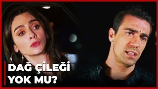 Aslı Dağ Çileği Aşeriyor | Siyah Beyaz Aşk 26. Bölüm