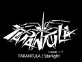 TARANTULA (Vo 森重樹一) / Starlight(Live)