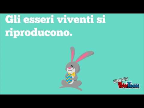 Viventi E Non Viventi Youtube