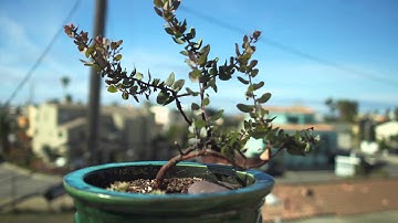 Timelapse 2-axis motion stage test