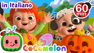 Il giardino delle zucche 🎃| 🍉 COCOMELON Italiano - Canzoni per bambini