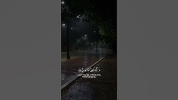 تلاوة هادئة🤍#القرآن_الكريم #تلاوات #تلاوه #فلسطين #قضيتنا_فلسطين #هدوء #فلسطين_حره #الله #ارح_سمعك