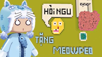 Những câu hỏi ngu người trong Mini World | Meowpeo giải đố