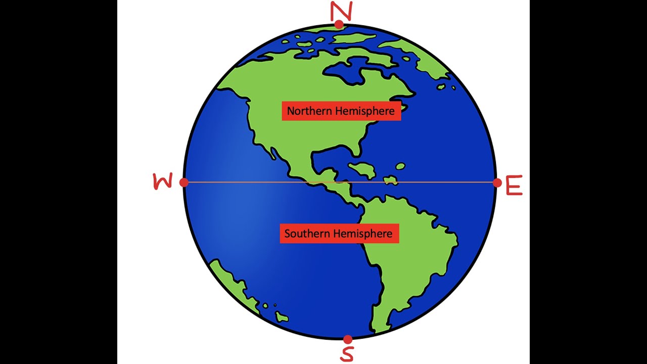 a) Make a rough drawing of the lateral aspect of the left c | Quizlet