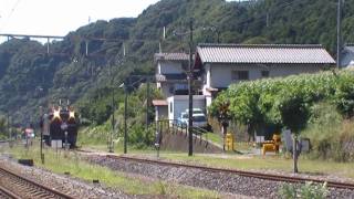【JR】 EF64-37 ＋ 24系 ＋ EF81-95 『団体臨時列車』 ＠岩本