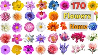 Flowers Vocabulary ll 170 Flowers Name In English With Pictures ll Names of Different Flowers screenshot 4