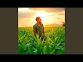 O CAMPO NÃO PARA