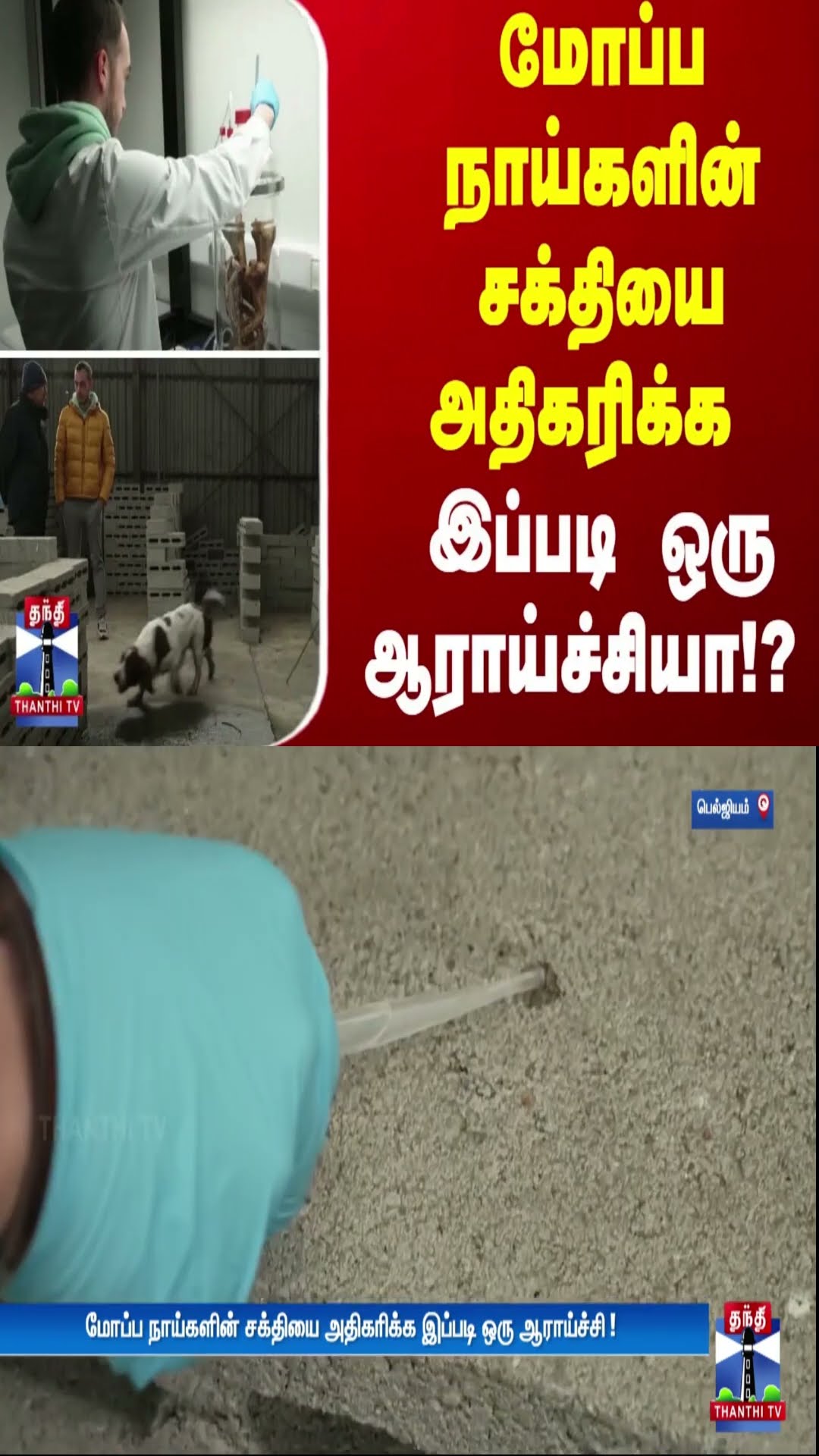 மோப்ப நாய்களின் சக்தியை அதிகரிக்க இப்படி ஒரு ஆராய்ச்சியா!?