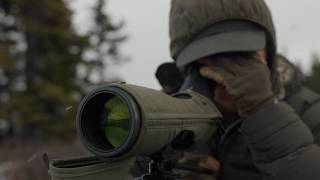Spring Bear Hunting in the High Country