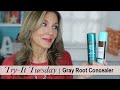 Try-It Tuesday ~ Gray Root Concealer