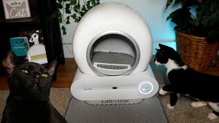 LABOLOW Automatic Litter Box  Unboxing & Review