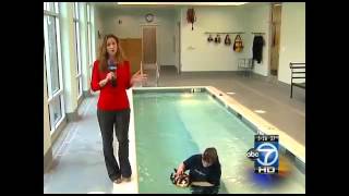 Fat Cat Goes Swimming To Lose Weight. Fat Cat Goes Swimming To Lose Weight.