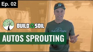 BuildASoil: SPROUTING AUTOFLOWERS AND TRANSPLANTING INTO AUTOPOTS (Season 6, Episode 02)