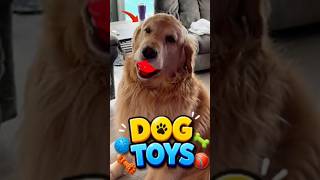 Funny Dog Toy Reactions #pawventure #shorts