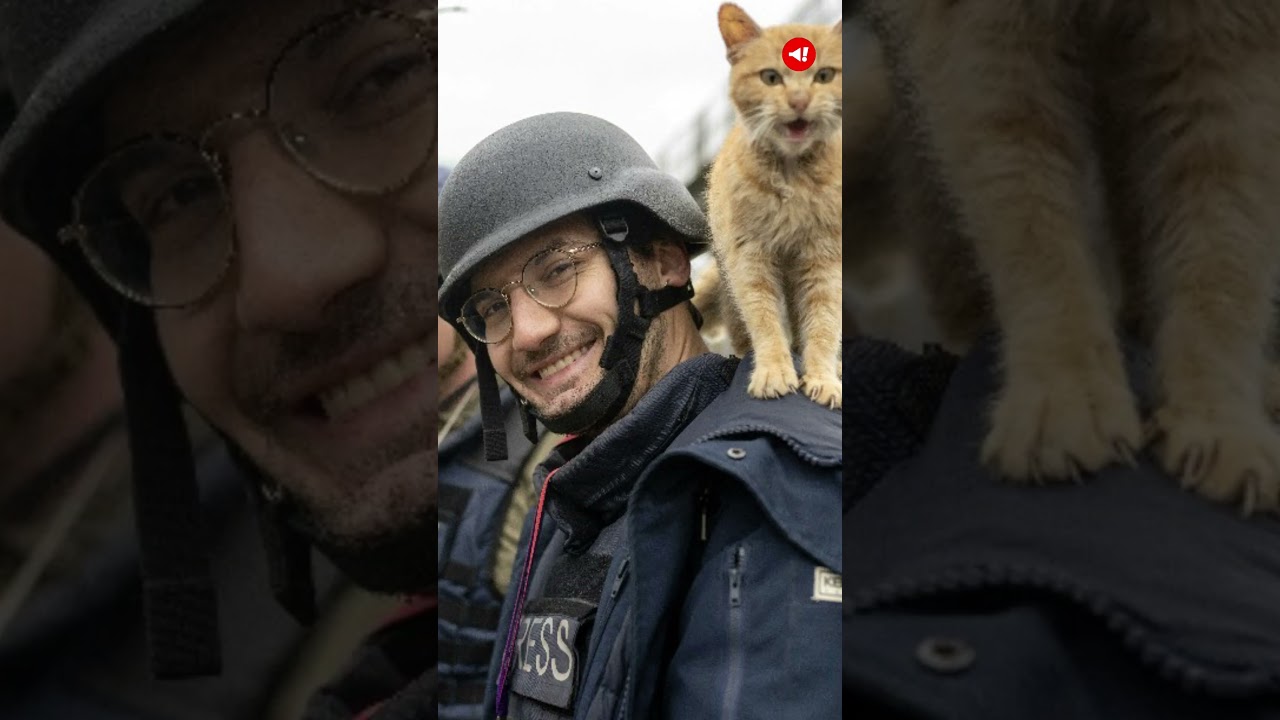 Who was Arman Soldin? AFP journalist killed in Ukraine | Russia Ukraine War Updates 