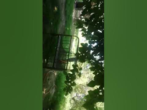 ломбо - YouTube