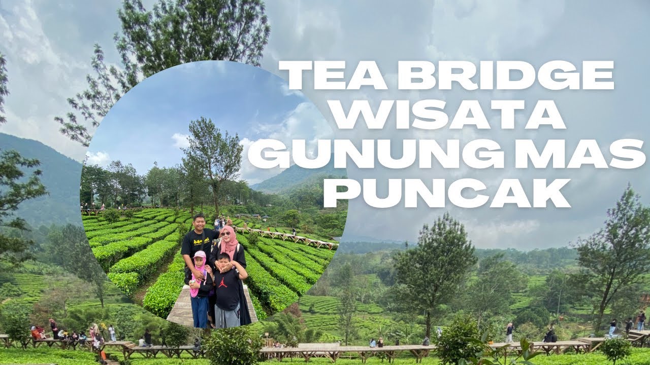 Tea Bridge Tea Bridge Puncak 🍃 | Wisata viral di Wisata Gunung Mas Puncak 😍 - YouTube